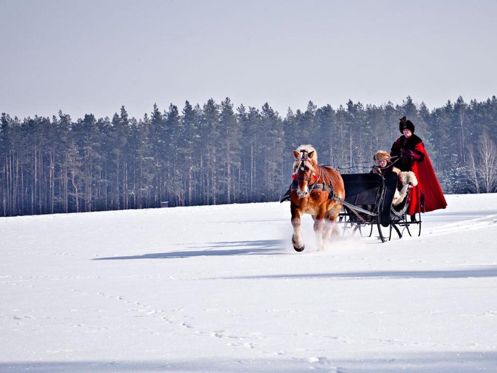 Mazurskie Siedlisko Kruklin エクステリア 写真