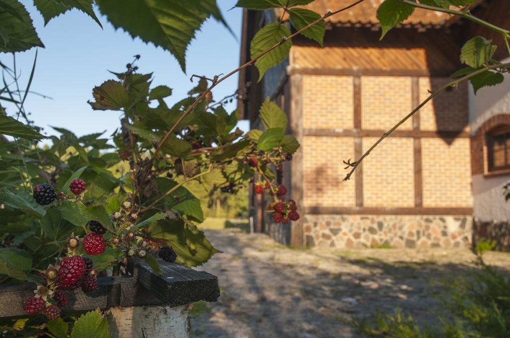Mazurskie Siedlisko Kruklin エクステリア 写真